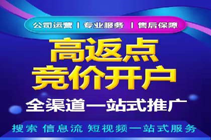 SEM公司案例分析：广告投放策略的优化
